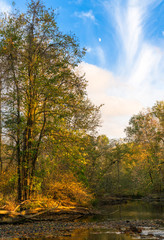Ramapo River In Autumn