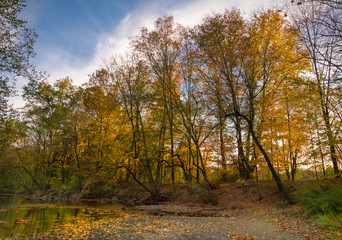 Ramapo River In Autumn