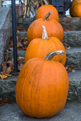 Line Pumpkins Orange Background Fall Halloween Autumn Seasonal Fresh Vegetable Leaves Stairs