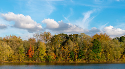 Fototapeta na wymiar Scarlet Oak Pond In Autumn