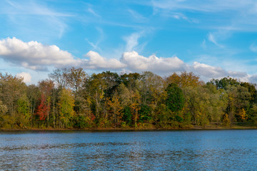 Scarlet Oak Pond In Autumn