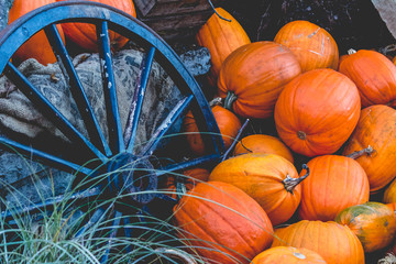Black Iron Wheel Pumpkins Orange Texture Background Fall Halloween Autumn Seasonal Fresh Sack....