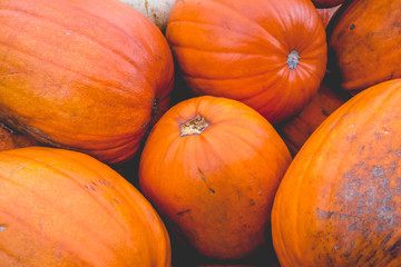 Abstract Closeup Pumpkin Orange Texture Background Fall Halloween Autumn Seasonal Fresh Vegetable. Retro Look