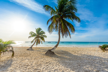 Paradise Beach also called Playa Paraiso at sunrise - beautiful and tropical caribbean coast of Tulum in Quintana Roo, Riviera Maya, Mexico