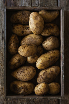 Freshly picked potatoes in crate from above