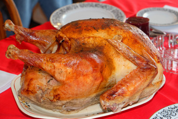 roast thanksgiving turkey