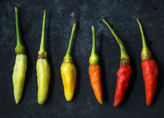 Fresh chili peppers