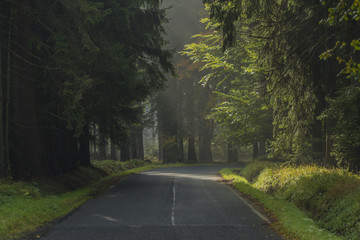 Road near Kladska village in Slavkovsky national park