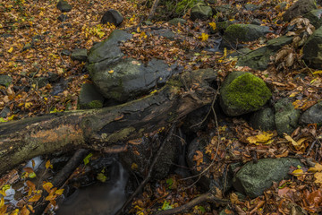 Nemecsky creek in Prucelska valley in autumn evening with color leafs