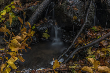 Nemecsky creek in Prucelska valley in autumn evening with color leafs
