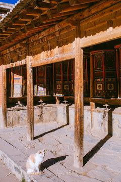 cat and prayer wheels in the Labrang monastery