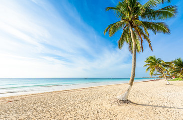 Obraz na płótnie Canvas Paradise Beach also called Playa Paraiso at Tulum - sunrise at beautiful and tropical caribbean coast of Tulum in Quintana Roo, Riviera Maya, Mexico