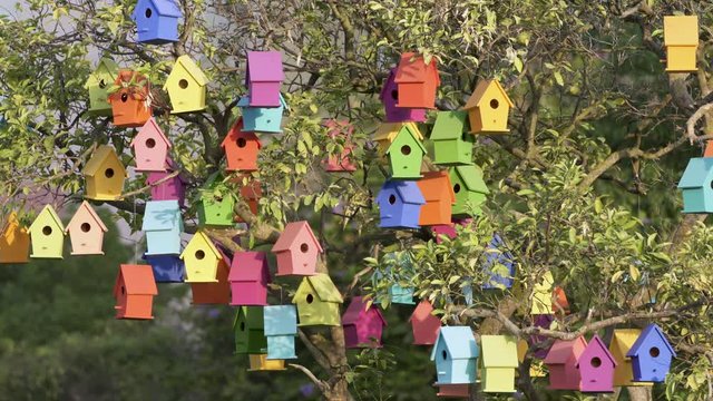 Colourful Wooden Bird Houses On the tree. Illustrate housing problem and mortgage loan