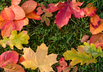 Autumn
