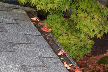 Mesh guards over troughs to prevent leaves and large debris from getting into gutters. Clogged...
