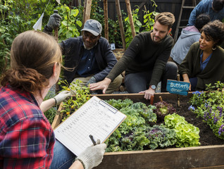 Group of people planting vegetable in greenhouse