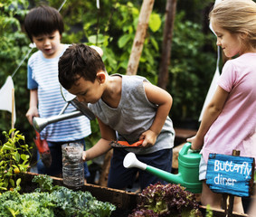 Kid in a garden experience and idea