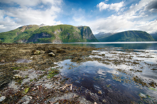 fjord landscape in Norway
