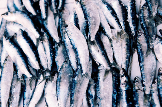 fish for sale on the market, morroco