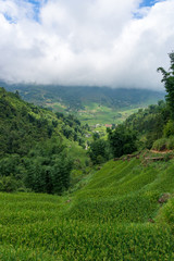 Spectacular views on valley with green rice terraces