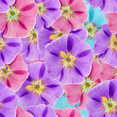 Mallow, malva. Seamless pattern texture of flowers. Floral background, photo collage
