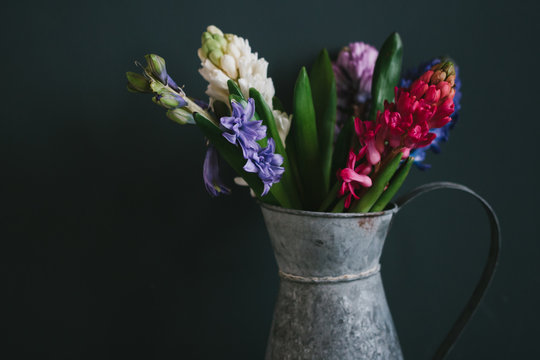 Hyacinth flowers in a galvanised jug