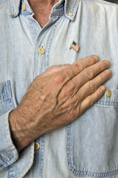 USA flag lapel iin, hand, work clothes