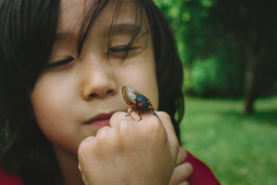 Closeup Of Young Boy With Cicada Bug On Hand