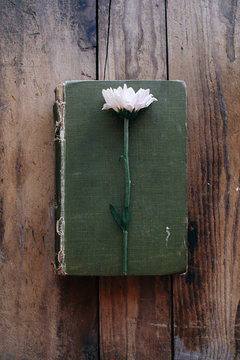 Single flower on vintage green book on wood background - vertical