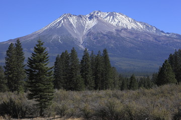 マウント・シャスタとシャスティーナ