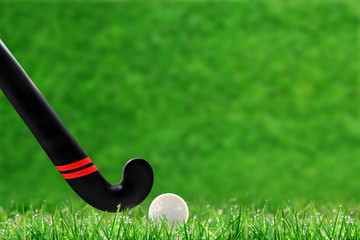Field Hockey Stick and Ball on Grass With Copy Space