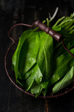 Wild garlic