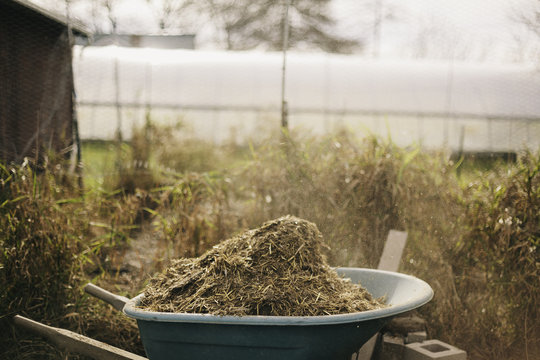 Wheel Barrow Full of Manure