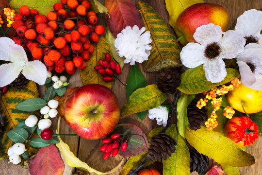 Thanksgiving decoration with apples, rowan berries and white silk flowers, top view
