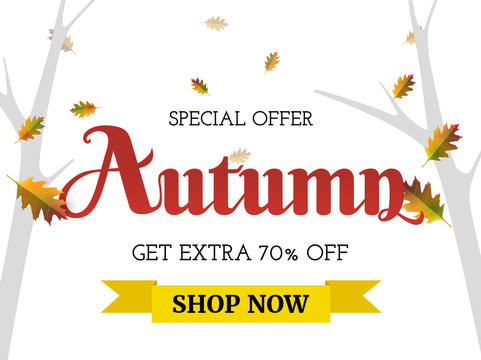 Autumn decorate  layout background  for banner leaflet poster  web  template.Vector illustration.