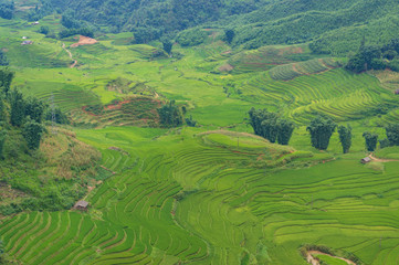 Fototapeta na wymiar Aerial view of spectacular rice terraces