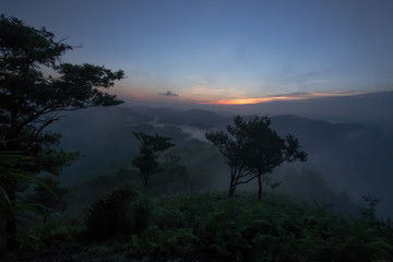日の出の山頂から雲海に沈む森を眺める