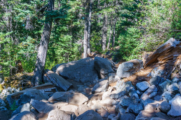 Forest and hiking trail in Joffre Lakes Provincial Park landscape.