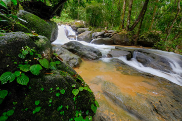 Obraz premium waterfall in rainforest of Thailand