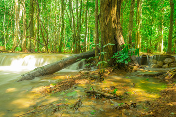 Obraz premium Landscape waterfall namtok pacharogn national park, Tak Thailand.