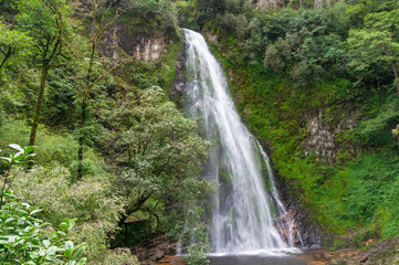 Fototapeta na wymiar Waterfall in tropical rainforest