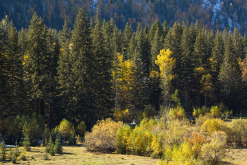 Fototapeta na wymiar Altai Mountains in autumn, Russia.