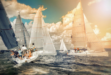 Sailing yacht race, regatta. Sailing boat. Recreational Water Sports, Extreme Sport Action. Healthy Active Lifestyle. Summer Fun Adventure. Team athletes participating in the sailing competition - obrazy, fototapety, plakaty