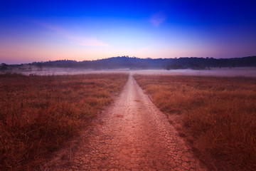 Soil path with field in the morning at  Thung Kamang nature park, Chaiyaphum, Thailand