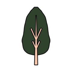 colorful  tree over white background  vector illustration