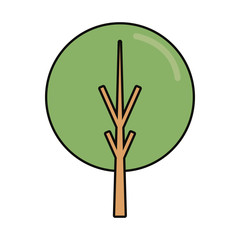 colorful  tree over white background  vector illustration