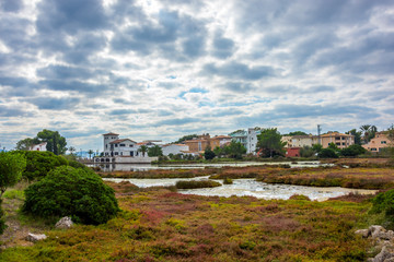 Obraz premium Insel, Mallorca, Spanien, Urlaub, Reisen, Erholung, Strand, Meer, Mittelmeer, Möwe, Tiere, Vögel, Natur, Erlebnis, Abenteuer