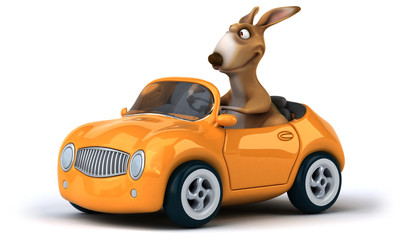 Fun kangaroo © Julien Tromeur