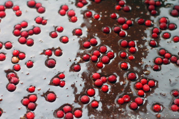 berries in chocolate