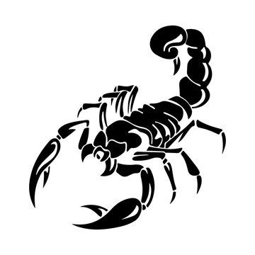 Silhouette of black scorpion, on white background,